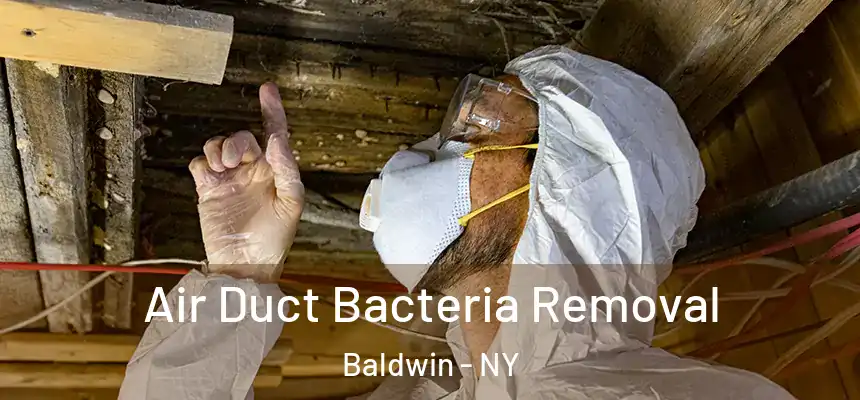 Air Duct Bacteria Removal Baldwin - NY