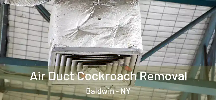 Air Duct Cockroach Removal Baldwin - NY