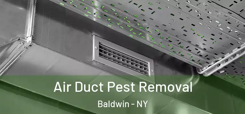 Air Duct Pest Removal Baldwin - NY