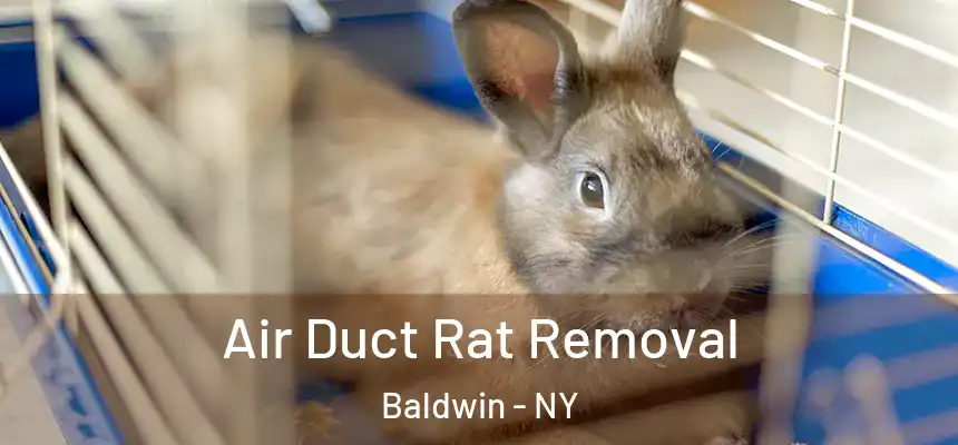 Air Duct Rat Removal Baldwin - NY