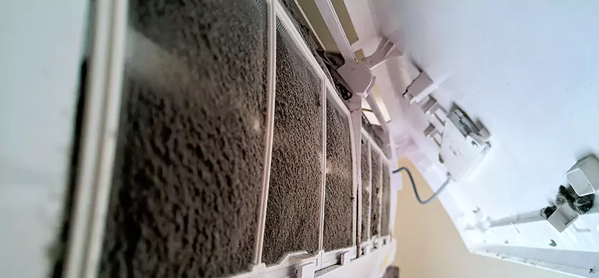 Preventive Air Duct Bacteria Removal in Baldwin