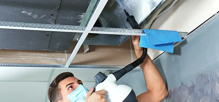 Our Air Duct Rodent Removal Services in Baldwin, NY