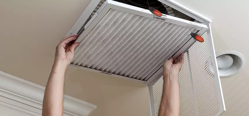 Our Insect Removal from Air Ducts Services in Baldwin, NY