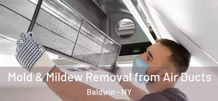 Mold & Mildew Removal from Air Ducts Baldwin - NY