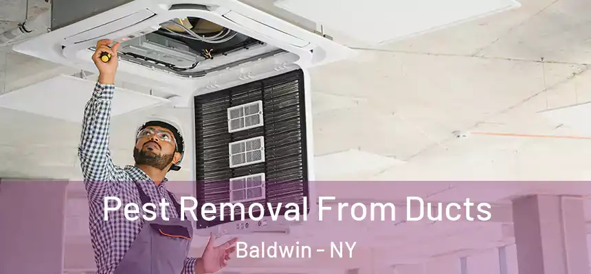 Pest Removal From Ducts Baldwin - NY