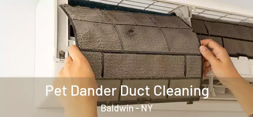 Pet Dander Duct Cleaning Baldwin - NY