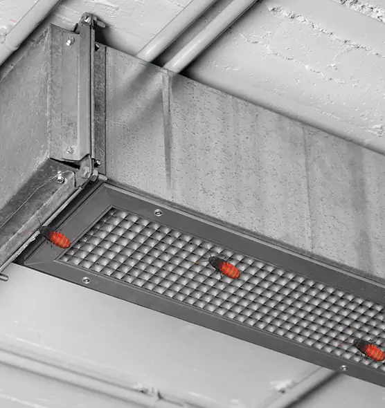 Affordable Insect Removal from Air Ducts in Baldwin, NY