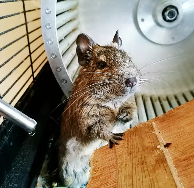 Why Homeowners & Businesses Trust Us Baldwin, NY