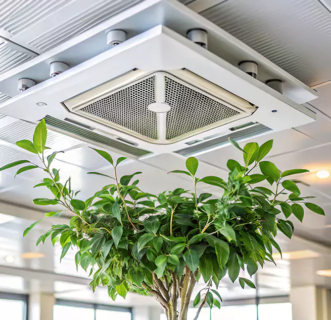 Why Homeowners & Businesses Trust Us in Baldwin, NY?